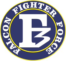 Falcon fighter force Pvt. Ltd.